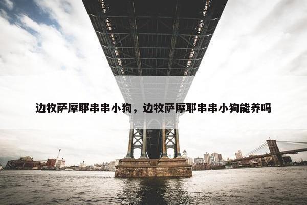 边牧萨摩耶串串小狗，边牧萨摩耶串串小狗能养吗
