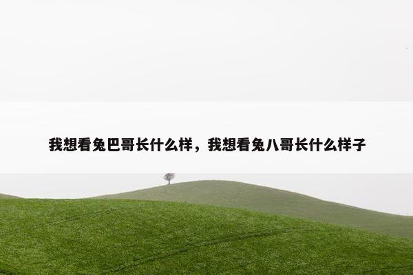 我想看兔巴哥长什么样，我想看兔八哥长什么样子