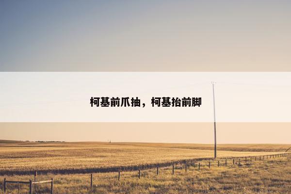 柯基前爪抽，柯基抬前脚