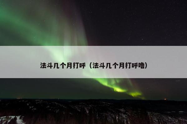 法斗几个月打呼（法斗几个月打呼噜）