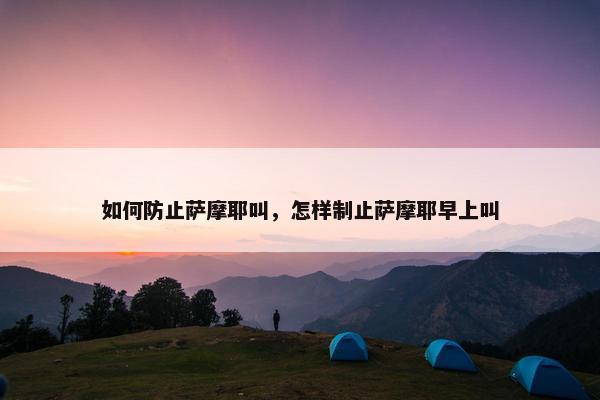 如何防止萨摩耶叫，怎样制止萨摩耶早上叫