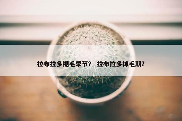 拉布拉多褪毛季节？ 拉布拉多掉毛期？