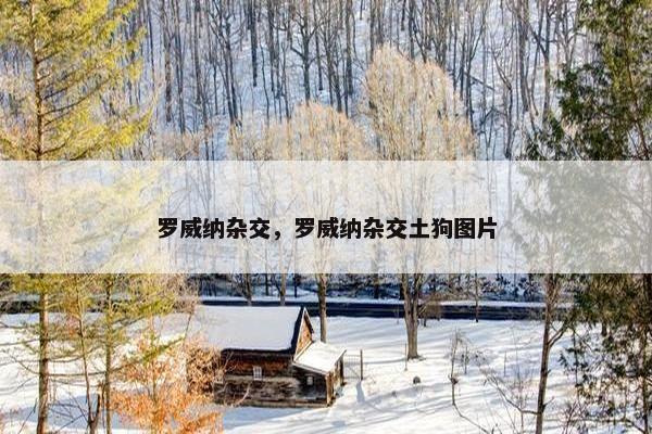 罗威纳杂交，罗威纳杂交土狗图片