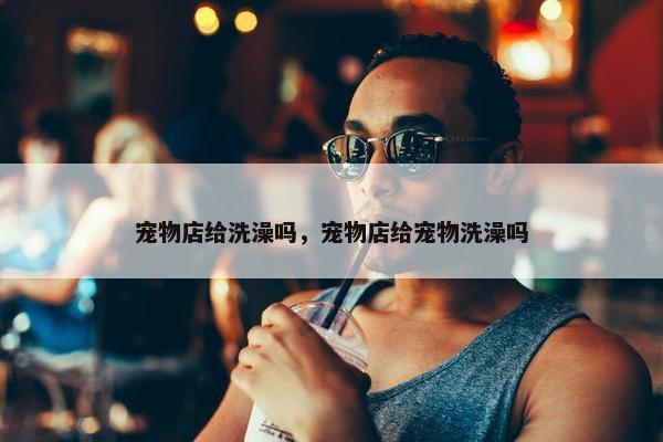 宠物店给洗澡吗，宠物店给宠物洗澡吗