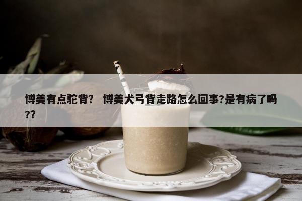 博美有点驼背？ 博美犬弓背走路怎么回事?是有病了吗?？