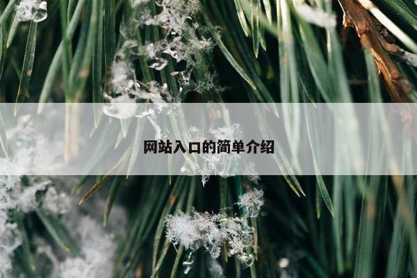 网站入口的简单介绍