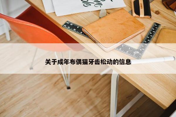 关于成年布偶猫牙齿松动的信息