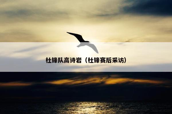 杜锋队高诗岩（杜锋赛后采访）