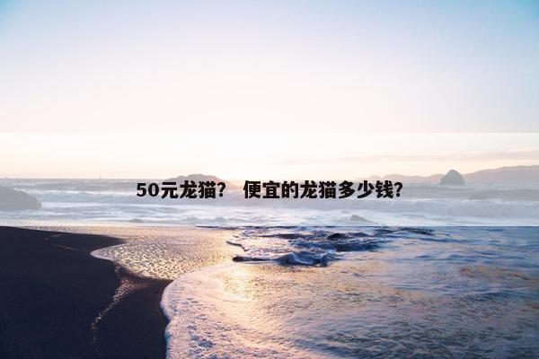 50元龙猫？ 便宜的龙猫多少钱？