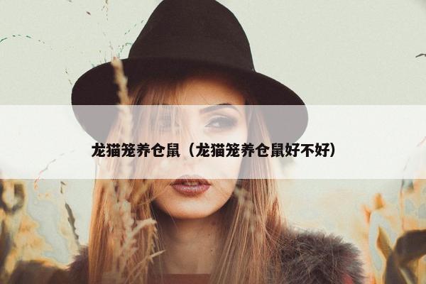 龙猫笼养仓鼠（龙猫笼养仓鼠好不好）