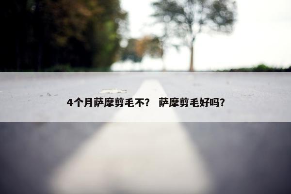 4个月萨摩剪毛不？ 萨摩剪毛好吗？