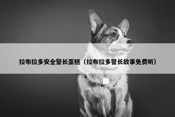 拉布拉多安全警长蛋糕（拉布拉多警长故事免费听）