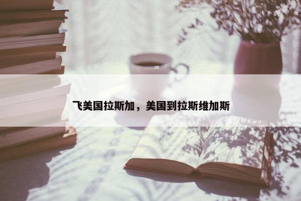 飞美国拉斯加，美国到拉斯维加斯