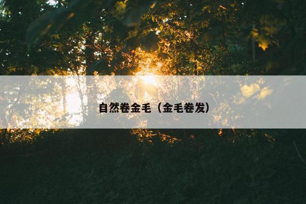 自然卷金毛（金毛卷发）