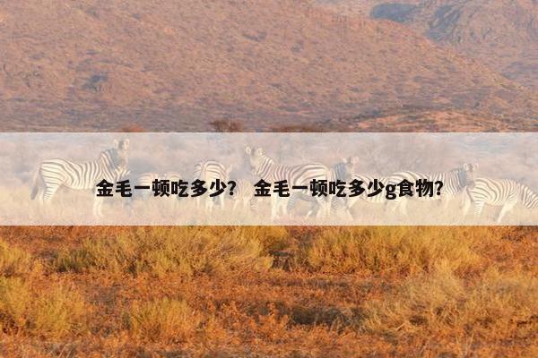 金毛一顿吃多少？ 金毛一顿吃多少g食物？