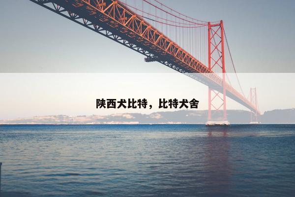 陕西犬比特，比特犬舍