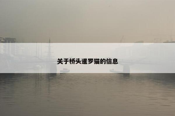关于桥头暹罗猫的信息
