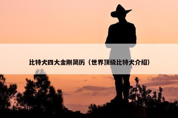 比特犬四大金刚简历（世界顶级比特犬介绍）