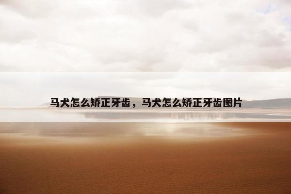 马犬怎么矫正牙齿，马犬怎么矫正牙齿图片