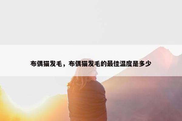 布偶猫发毛，布偶猫发毛的最佳温度是多少