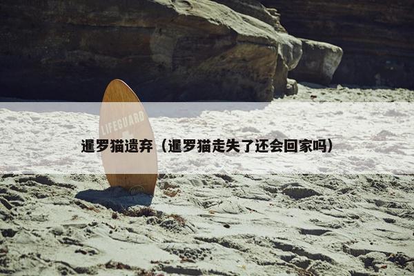 暹罗猫遗弃（暹罗猫走失了还会回家吗）