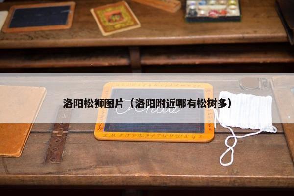 洛阳松狮图片（洛阳附近哪有松树多）