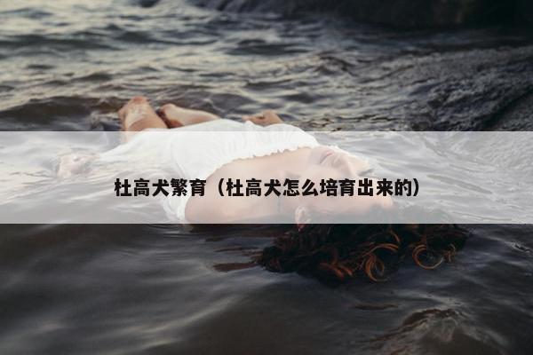 杜高犬繁育（杜高犬怎么培育出来的）