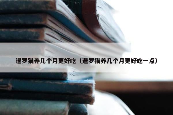 暹罗猫养几个月更好吃（暹罗猫养几个月更好吃一点）