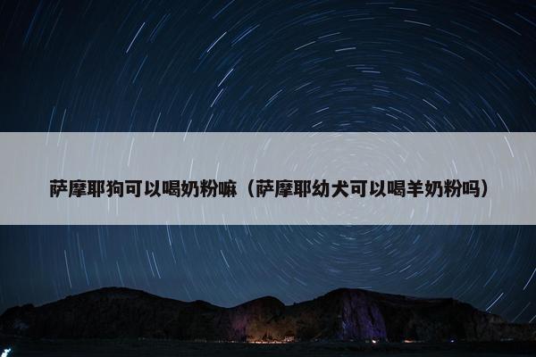萨摩耶狗可以喝奶粉嘛（萨摩耶幼犬可以喝羊奶粉吗）