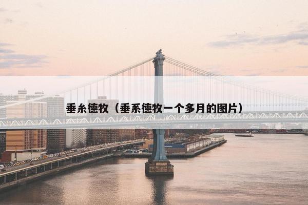 垂糸德牧（垂系德牧一个多月的图片）