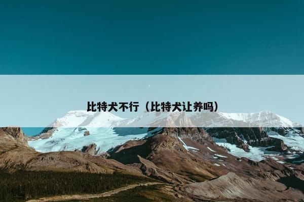比特犬不行（比特犬让养吗）