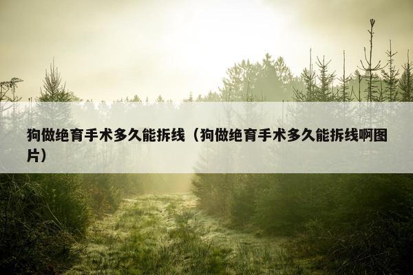 狗做绝育手术多久能拆线（狗做绝育手术多久能拆线啊图片）