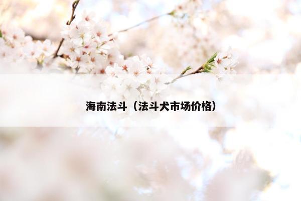 海南法斗（法斗犬市场价格）
