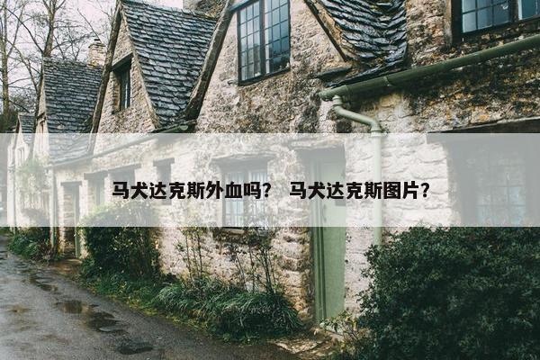 马犬达克斯外血吗？ 马犬达克斯图片？