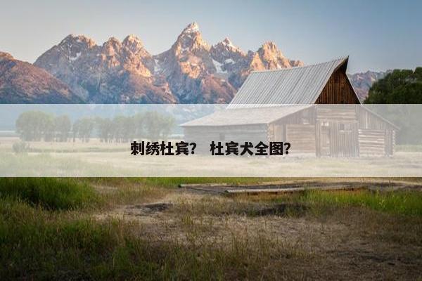 刺绣杜宾？ 杜宾犬全图？