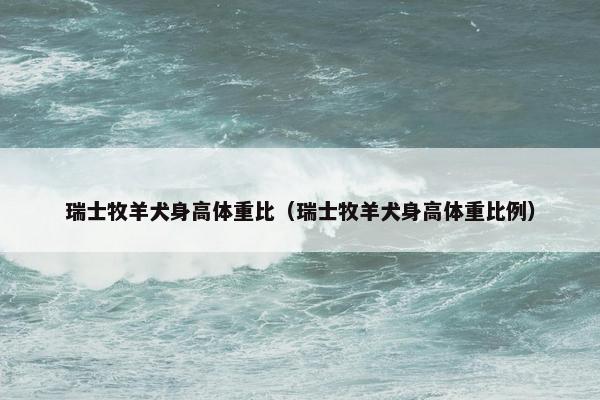 瑞士牧羊犬身高体重比（瑞士牧羊犬身高体重比例）