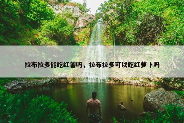 拉布拉多能吃红薯吗，拉布拉多可以吃红萝卜吗
