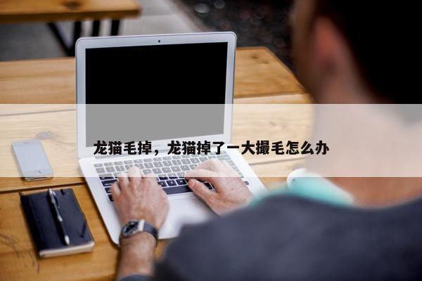 龙猫毛掉，龙猫掉了一大撮毛怎么办