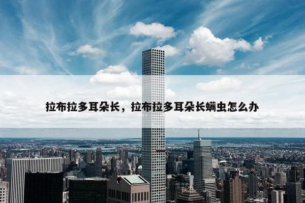 拉布拉多耳朵长，拉布拉多耳朵长螨虫怎么办