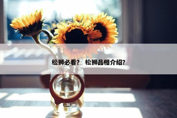 松狮必看？ 松狮品相介绍？