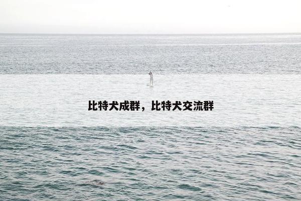 比特犬成群，比特犬交流群
