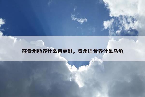 在贵州能养什么狗更好，贵州适合养什么乌龟
