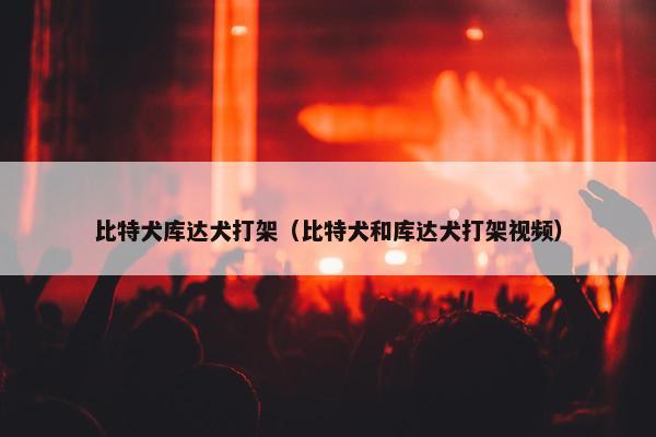 比特犬库达犬打架（比特犬和库达犬打架视频）
