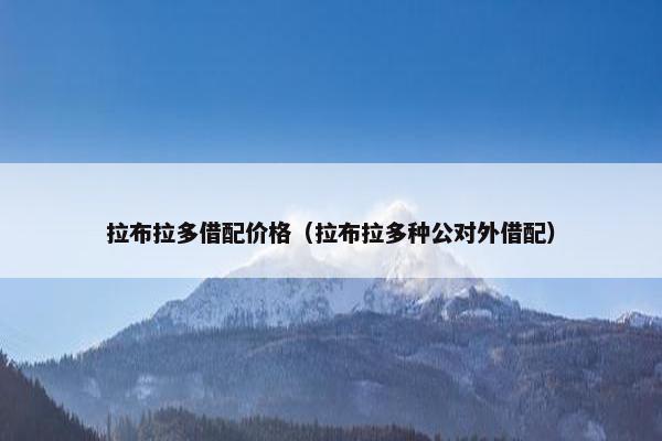 拉布拉多借配价格（拉布拉多种公对外借配）