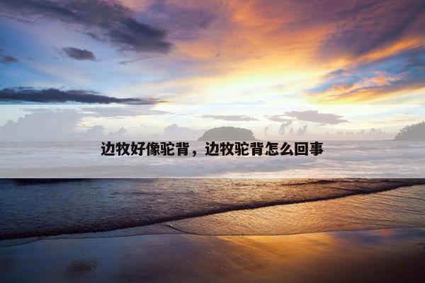 边牧好像驼背，边牧驼背怎么回事