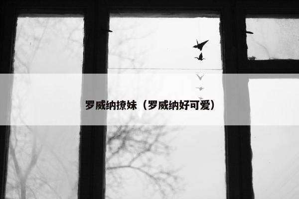 罗威纳撩妹（罗威纳好可爱）