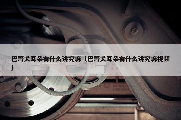 巴哥犬耳朵有什么讲究嘛（巴哥犬耳朵有什么讲究嘛视频）