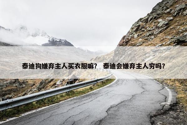 泰迪狗嫌弃主人买衣服嘛？ 泰迪会嫌弃主人穷吗？