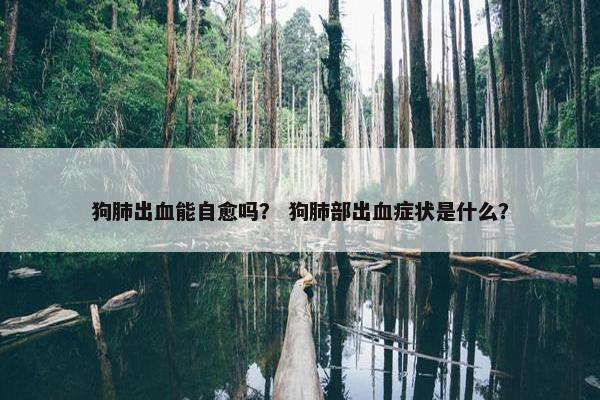 狗肺出血能自愈吗？ 狗肺部出血症状是什么？