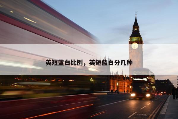 英短蓝白比例，英短蓝白分几种